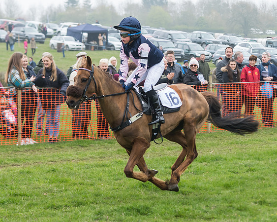 Pony Race 2  (45 of 52)
