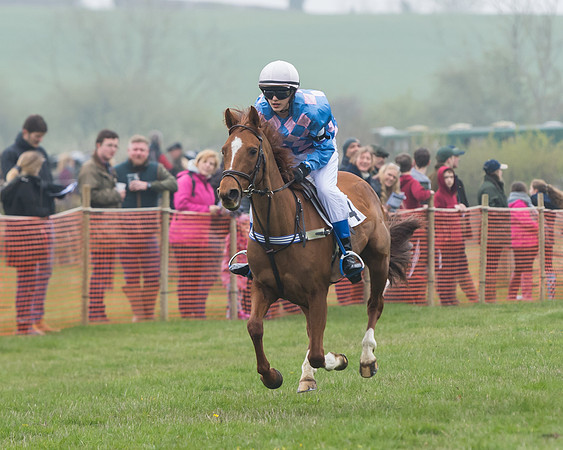 Pony Race 2  (46 of 52)