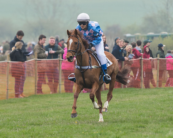 Pony Race 2  (47 of 52)