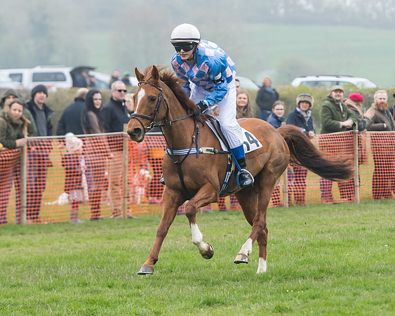 Pony Race 2  (48 of 52)