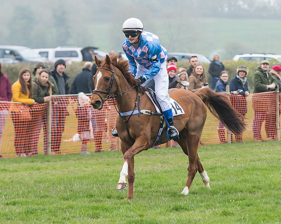Pony Race 2  (49 of 52)