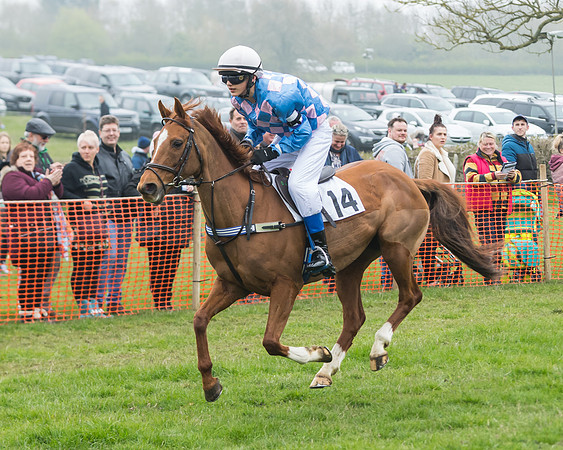 Pony Race 2  (50 of 52)