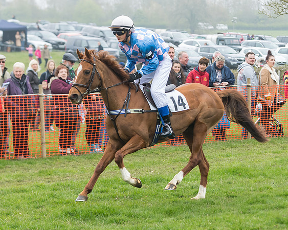 Pony Race 2  (51 of 52)