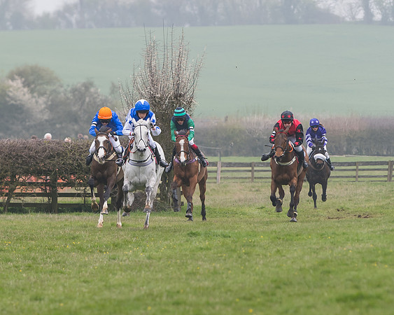 Pony Race 3 (7 of 48)