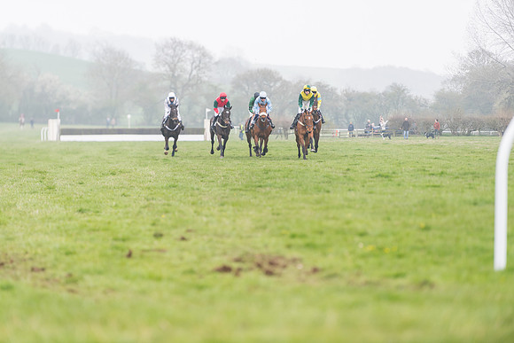 Race 2 - 4,5,6 Year Olds Open Maiden  (10 of 100)