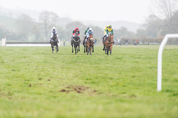 Race 2 - 4,5,6 Year Olds Open Maiden  (11 of 100)
