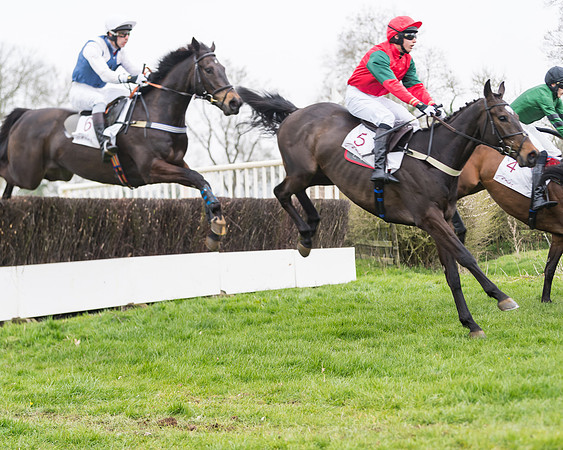 Race 2 - 4,5,6 Year Olds Open Maiden  (22 of 100)