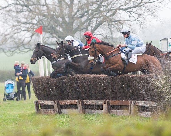 Race 2 - 4,5,6 Year Olds Open Maiden  (34 of 100)