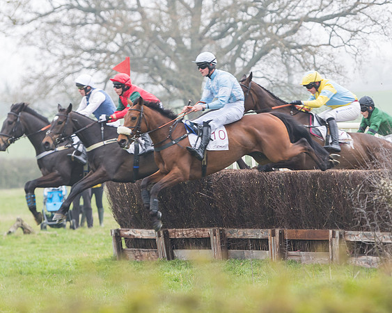 Race 2 - 4,5,6 Year Olds Open Maiden  (36 of 100)