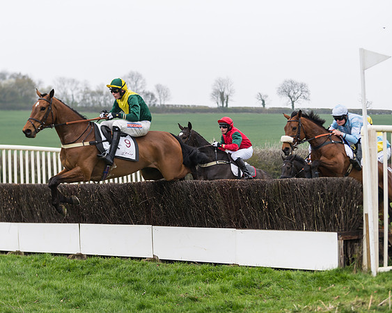 Race 2 - 4,5,6 Year Olds Open Maiden  (40 of 100)
