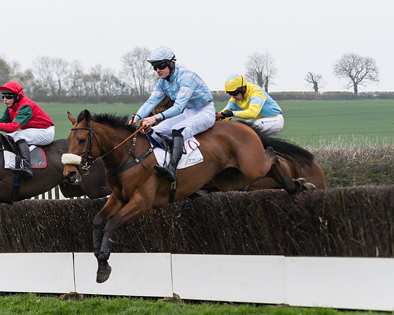 Race 2 - 4,5,6 Year Olds Open Maiden  (42 of 100)