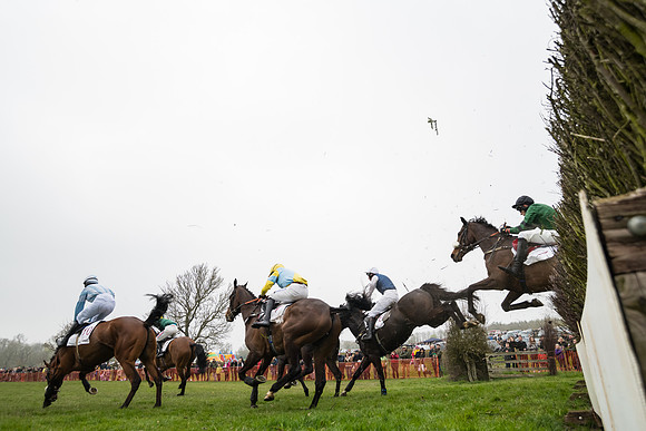 Race 2 - 4,5,6 Year Olds Open Maiden  (54 of 100)