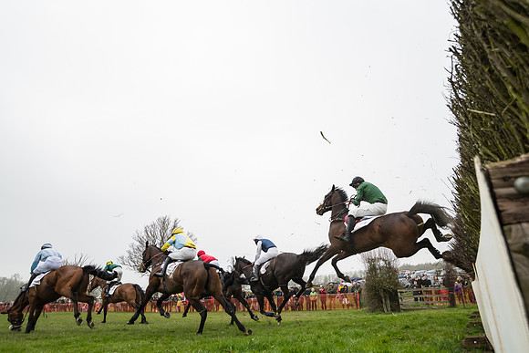 Race 2 - 4,5,6 Year Olds Open Maiden  (55 of 100)
