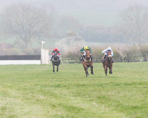 Race 2 - 4,5,6 Year Olds Open Maiden  (56 of 100)