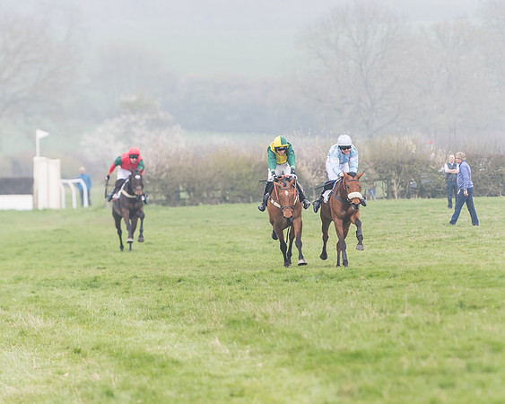 Race 2 - 4,5,6 Year Olds Open Maiden  (57 of 100)