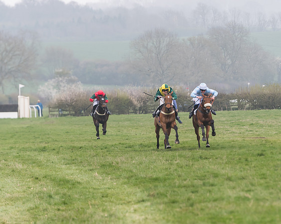 Race 2 - 4,5,6 Year Olds Open Maiden  (58 of 100)