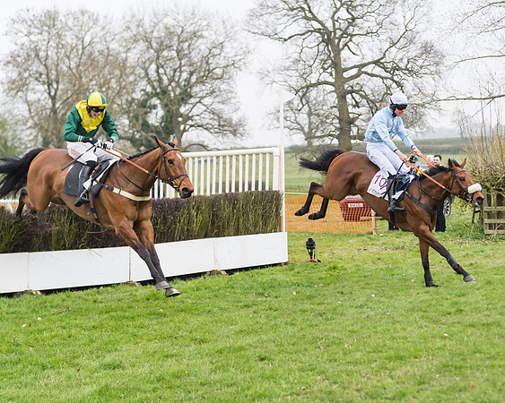 Race 2 - 4,5,6 Year Olds Open Maiden  (64 of 100)