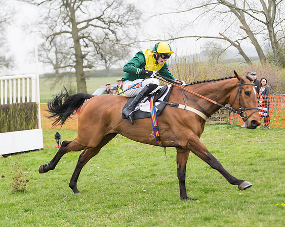 Race 2 - 4,5,6 Year Olds Open Maiden  (67 of 100)
