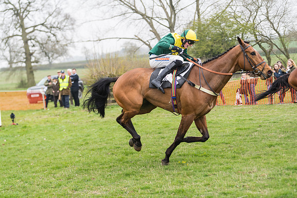Race 2 - 4,5,6 Year Olds Open Maiden  (69 of 100)