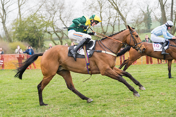 Race 2 - 4,5,6 Year Olds Open Maiden  (70 of 100)