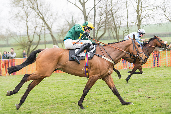Race 2 - 4,5,6 Year Olds Open Maiden  (72 of 100)