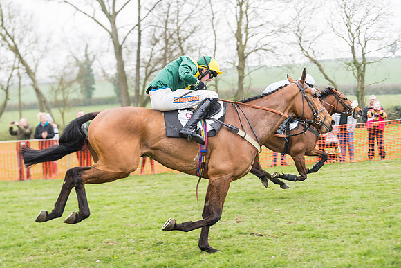 Race 2 - 4,5,6 Year Olds Open Maiden  (73 of 100)