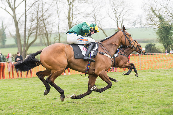 Race 2 - 4,5,6 Year Olds Open Maiden  (74 of 100)