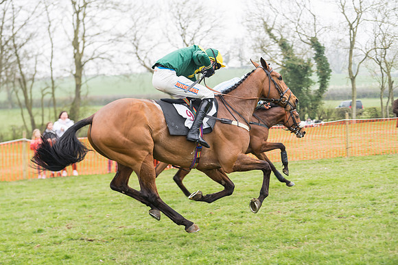 Race 2 - 4,5,6 Year Olds Open Maiden  (75 of 100)