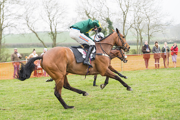 Race 2 - 4,5,6 Year Olds Open Maiden  (76 of 100)