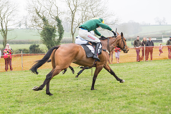 Race 2 - 4,5,6 Year Olds Open Maiden  (77 of 100)