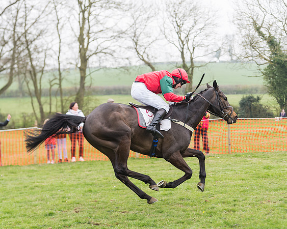 Race 2 - 4,5,6 Year Olds Open Maiden  (82 of 100)