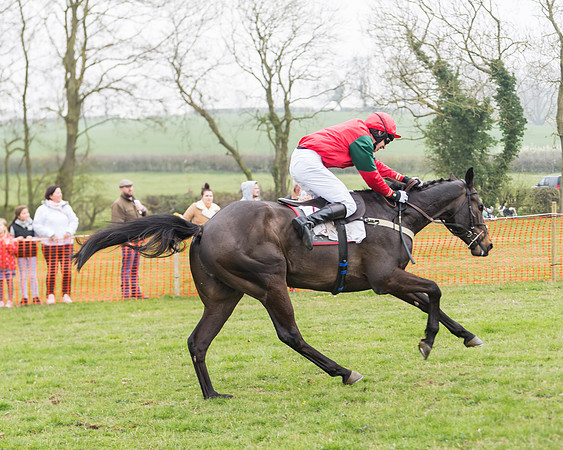 Race 2 - 4,5,6 Year Olds Open Maiden  (83 of 100)