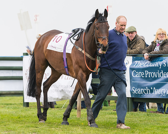 Race 3 - Open Maiden (3 of 128)