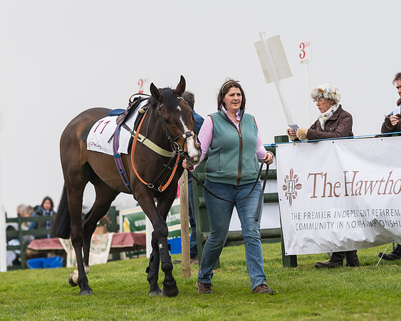 Race 3 - Open Maiden (7 of 128)