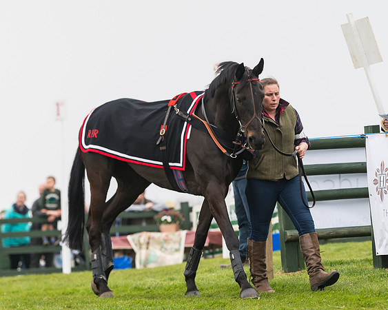 Race 3 - Open Maiden (8 of 128)