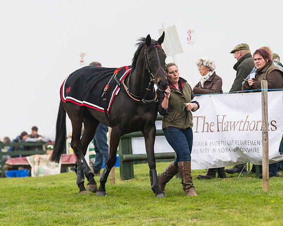 Race 3 - Open Maiden (9 of 128)