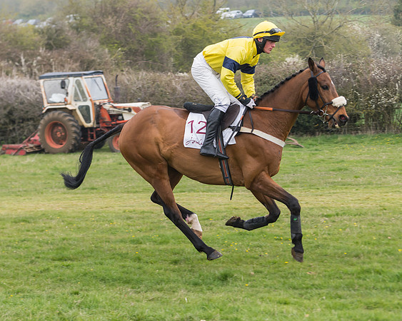 Race 3 - Open Maiden (14 of 128)
