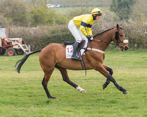 Race 3 - Open Maiden (15 of 128)