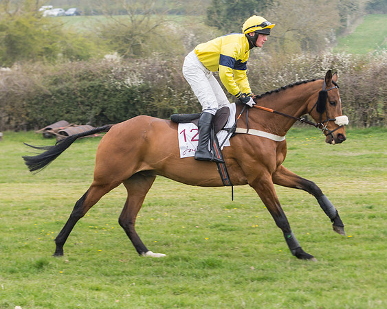 Race 3 - Open Maiden (16 of 128)