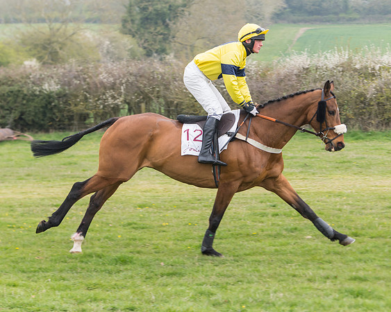 Race 3 - Open Maiden (17 of 128)