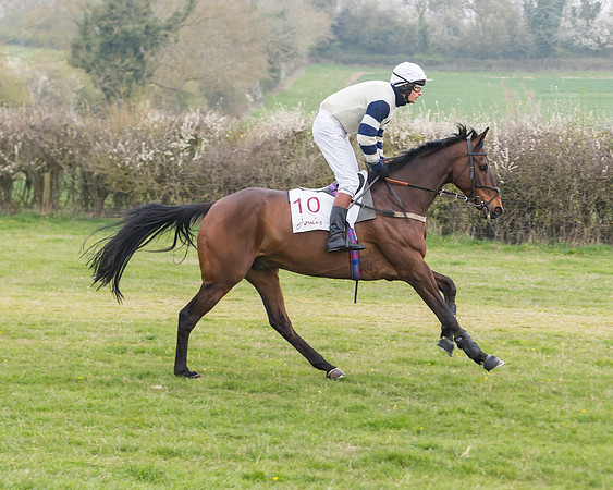 Race 3 - Open Maiden (19 of 128)
