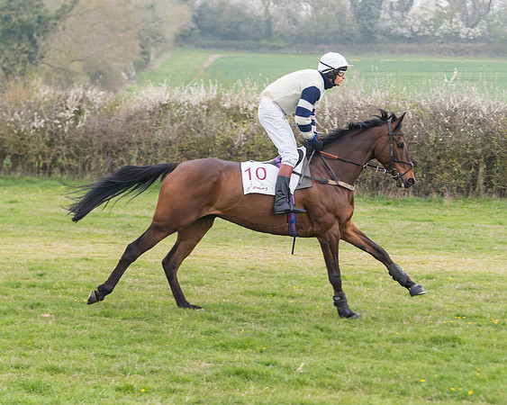 Race 3 - Open Maiden (20 of 128)
