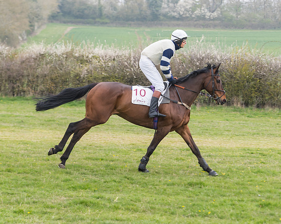 Race 3 - Open Maiden (21 of 128)