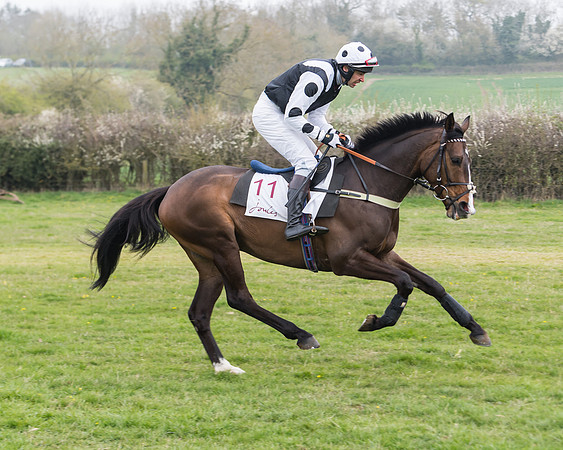 Race 3 - Open Maiden (25 of 128)