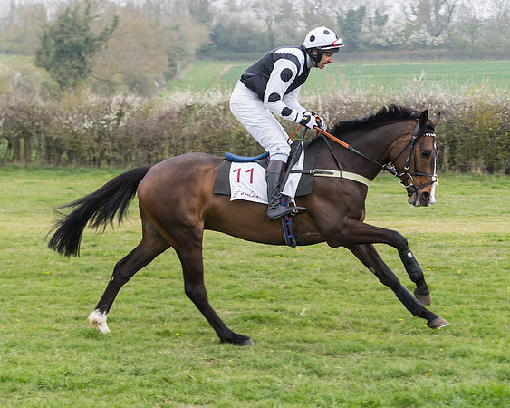 Race 3 - Open Maiden (26 of 128)