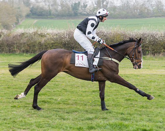 Race 3 - Open Maiden (27 of 128)