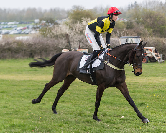 Race 3 - Open Maiden (28 of 128)