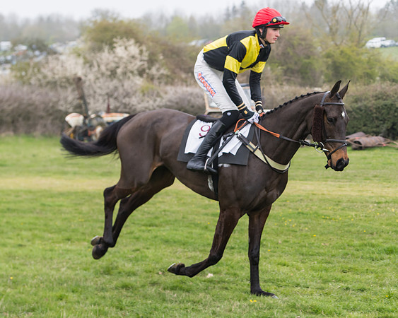 Race 3 - Open Maiden (29 of 128)