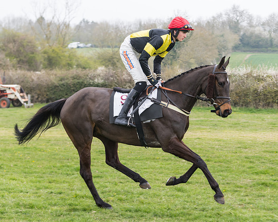 Race 3 - Open Maiden (30 of 128)