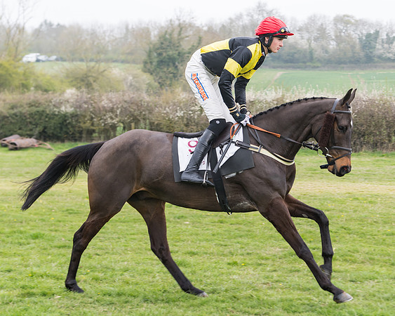 Race 3 - Open Maiden (31 of 128)